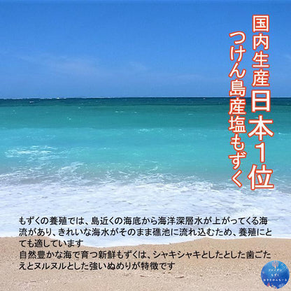 【送料無料】 もずく 600g(300g×2袋) 沖縄つけん島産塩もずく